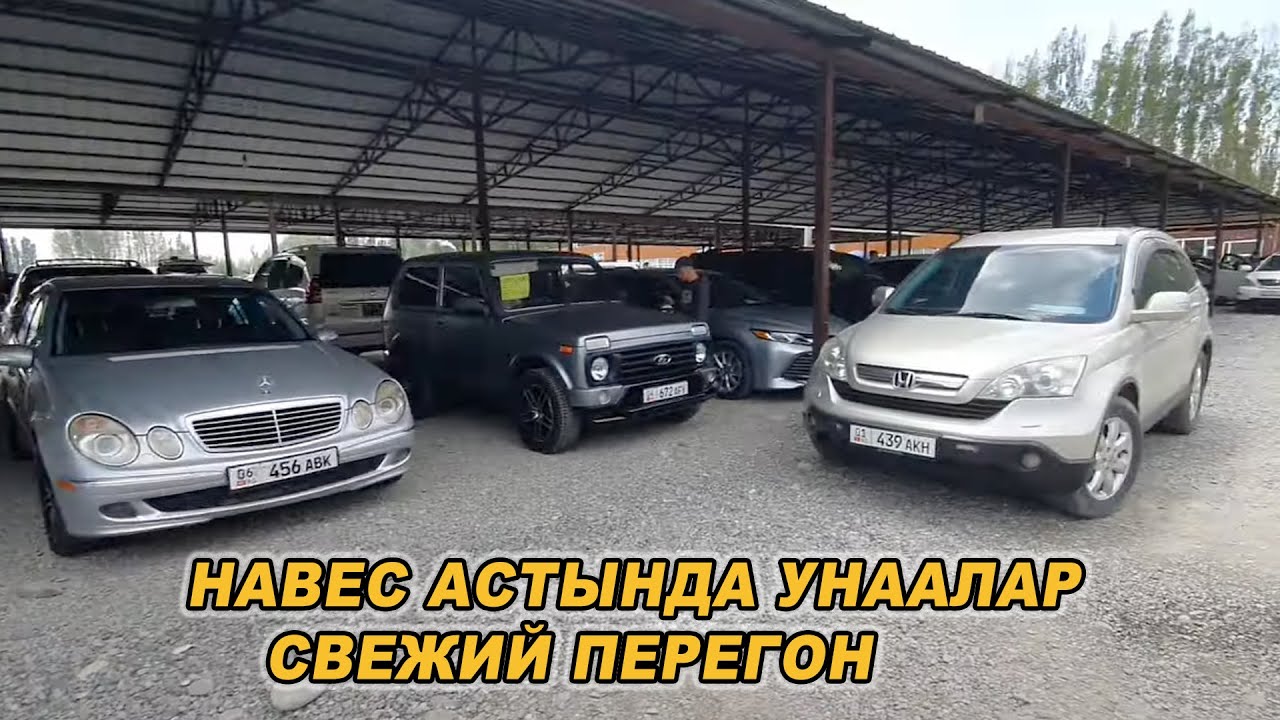 Машина базар ош бугунку