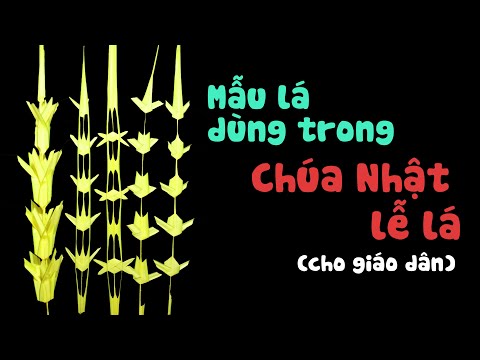 Video: Những cây cọ làm gì vào Chủ nhật Lễ Lá?