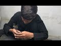 Live Gem Cutting Workshop 💎 | From Rough Stone to Shiny Gem