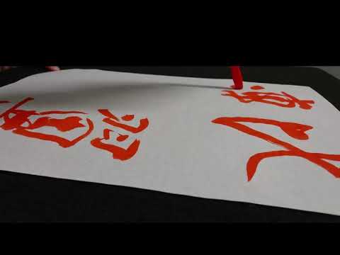 比翼連理 / hi yoku len li (Master Ren's demonstration 014)