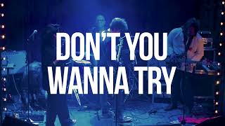 Elk City "Don't You Wanna Try" - Live at Union Pool, Brooklyn NY - Nov 18, 2022