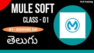 MuleSoft 1st class by Kishore sir 8am Ist 16th June 2022 batch 15th contact 9059868766 VLR Training screenshot 2