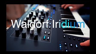 Exclusive!! Waldorf Iridium Synthesizer keyboard version