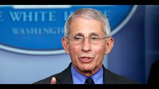 Fauci says he's 'cautiously optimistic' about COVID-19 vaccine trials - Business Insider