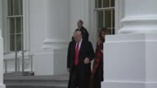 Trump and first lady welcome WH Christmas tree