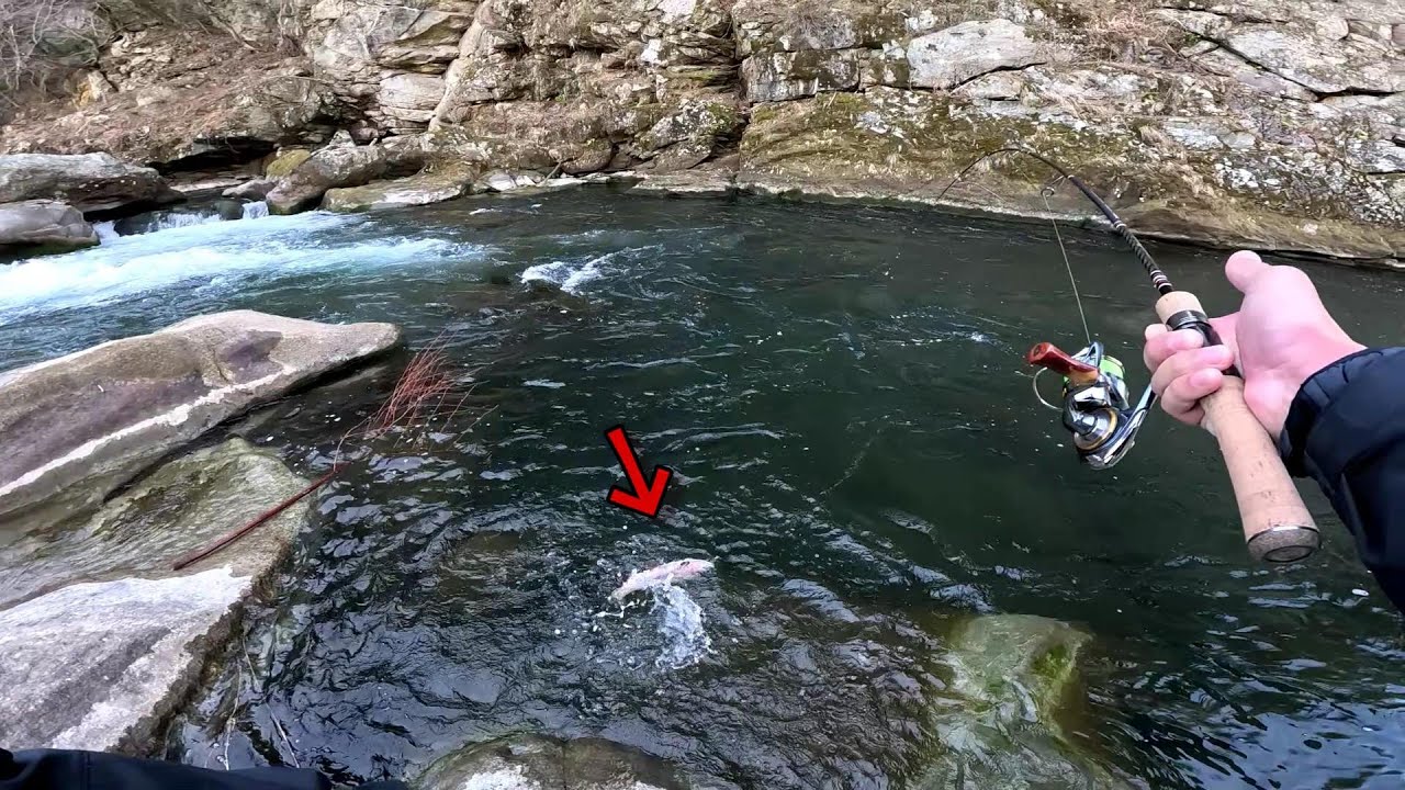 関東遠征したらBIG連発で神った【渓流ルアー】