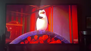 Afro Circus/I Like To Move It in Penguins of Madagascar: The Movie.