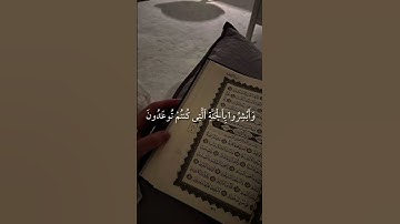 القرآن الكريم #قران_كريم #اكسبلور #المصحف #لايك #راحة_نفسية