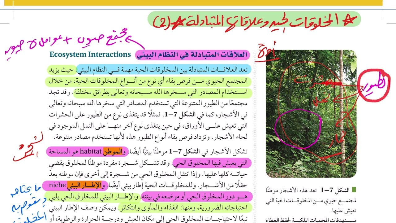 المخلوقات الحية وعلاقاتها المتبادلة 2 ( علم البيئة 1446 )