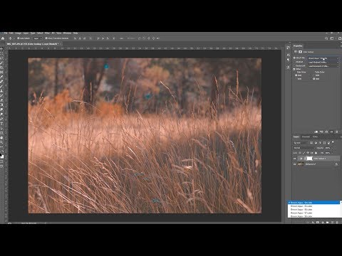 How to Install & Use LUTs in Photoshop (for PC + MAC)