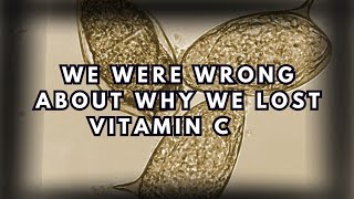 Download Lagu Scientists finally learned why human bodies stopped making vitamin C MP3
