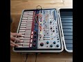 Buchla Music Easel Hits the EDM Dancefloor :)