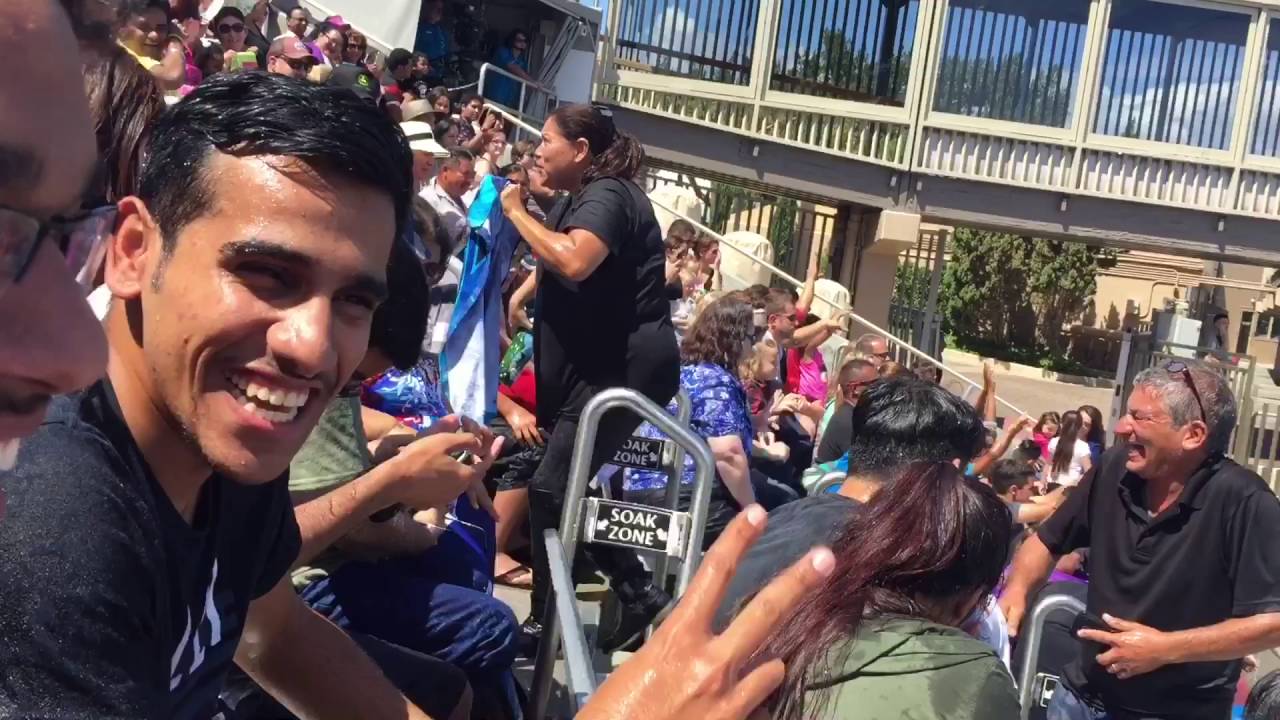 عالم البحار في  سان ديغو - Sea World San Diego vlog