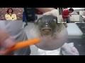 Pufferfish eating a carrot