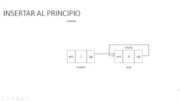 Lista Circular insertar al inicio (2) explicación -Programming zone