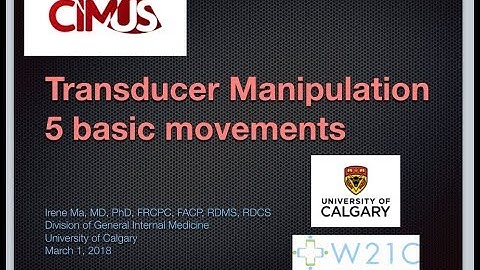Transducer Basic Movements