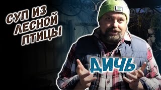 ОЧЕНЬ вкусный суп из вальдшнепа, куропаток и селезня