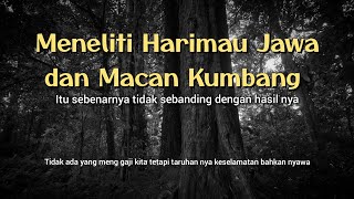 Menyelamatkan diri keatas pohon setinggi 25 meter