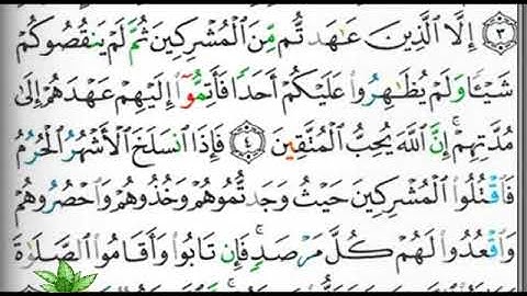 مصحف التجويد صفحة 187 إبراهيم الأخضر 🕋