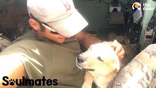 Puppy Is SO Happy To Reunite With Her Soldier Dad | The Dodo Soulmates