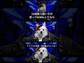 【16歳/高1】犬 Just Very Fall In Love