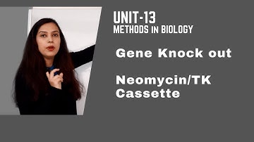 Gene knock Out | Neomycin | G418- Casette I Experimental | PYQ included | CSIR-NET JRF |GATE | DBT