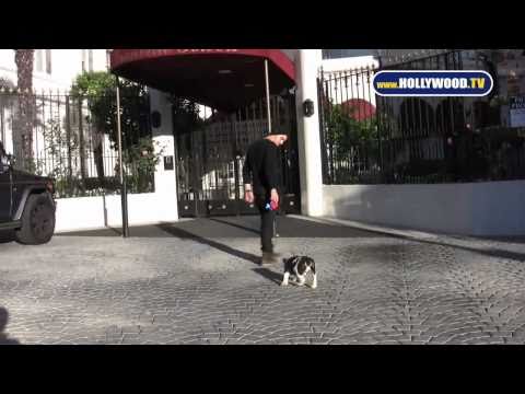 Joe Jonas Walking His Dog Winston In Los Angeles