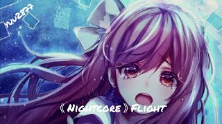 Nightcoreflight L