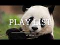 Play list 듣기만해도 마음이 차분해지는 Ambient Soundscape 집중력 향상