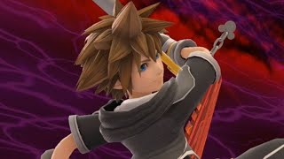 Sora's edge guarding is....