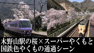 【4K動画】桜の木野山駅×スーパーやくもと国鉄色やくもの通過シーン