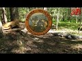 3D Archery - High Woods Sportsmen Club 3D Archery - High Woods Sportsmen Club