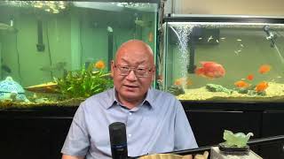 整个世界都在面对“文明”之间的冲突：大爱无法对抗霸蛮！（20201020第1592期）