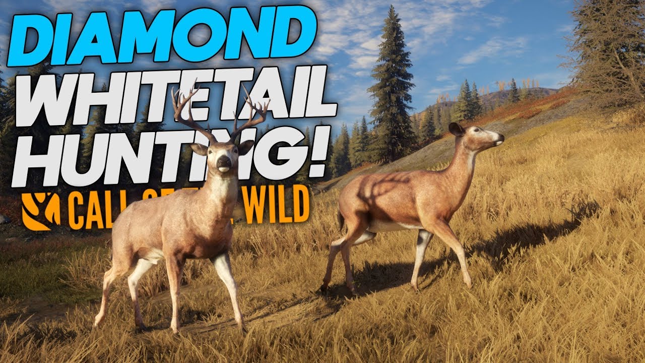 I Want A Diamond Whitetail So Bad! theHunter Call Of The Wild YouTube