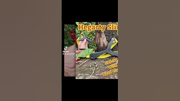 SPS-STYLE 90 with Band Clamps