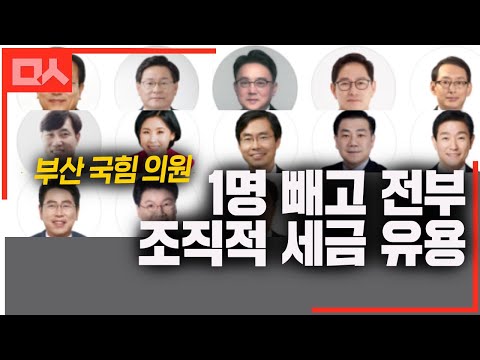 국힘 부산의원들 조직적으로 세금 유용해먹었다