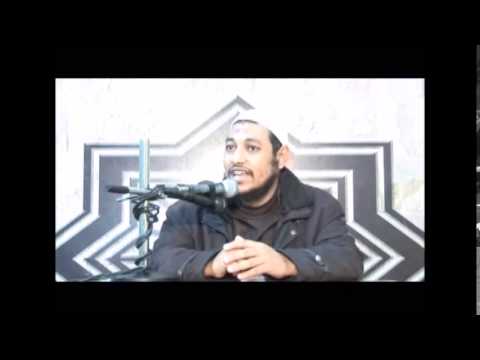 هل قاتل الخطأ يرث الشيخ محمد أنور مرسال