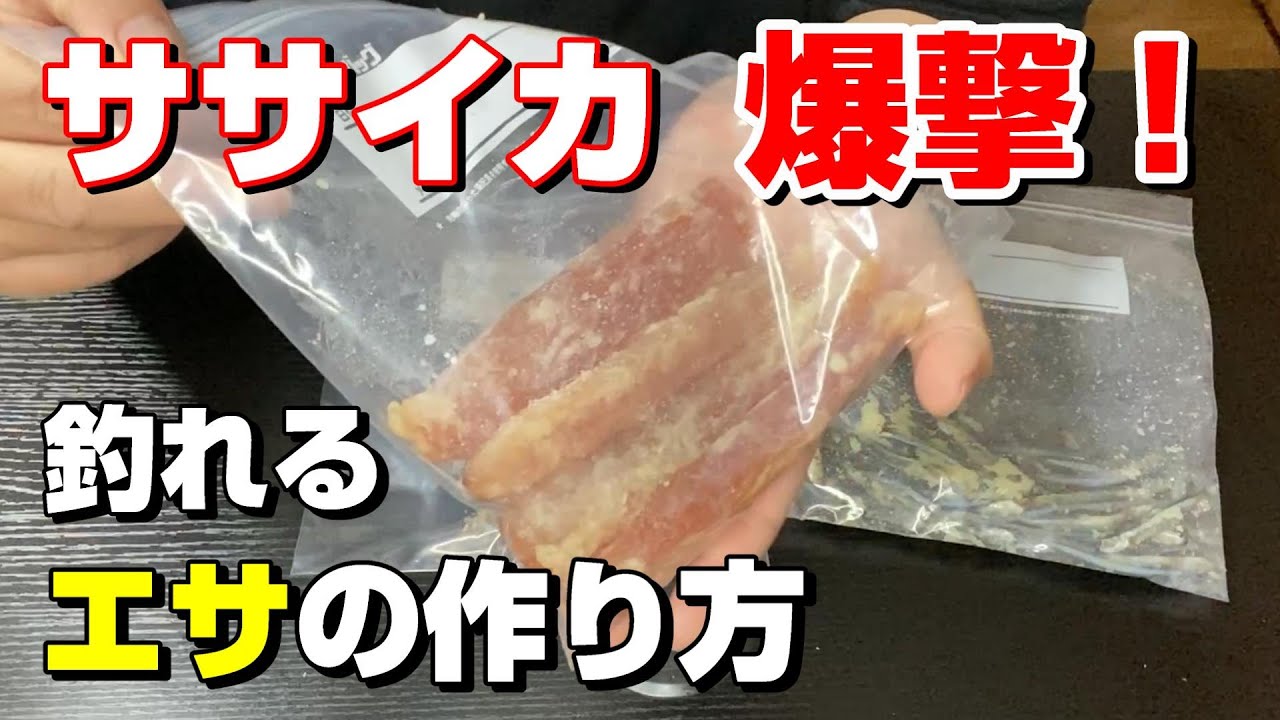 マジで釣れる！ササイカ釣りするならこのエサ使ってみて！【81釣目】