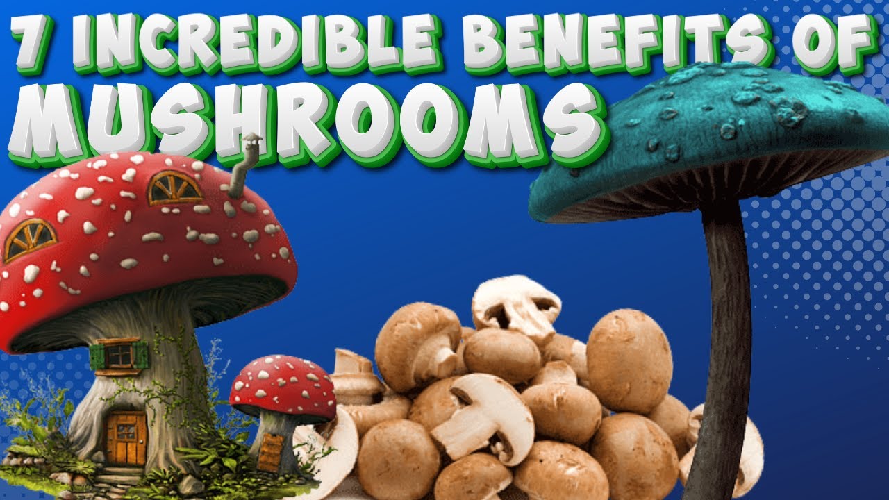 7 Incredible Benefits of Mushrooms YouTube