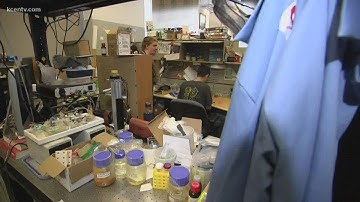 Did students at MIT find a way to perfect the splitting of an Oreo ?
