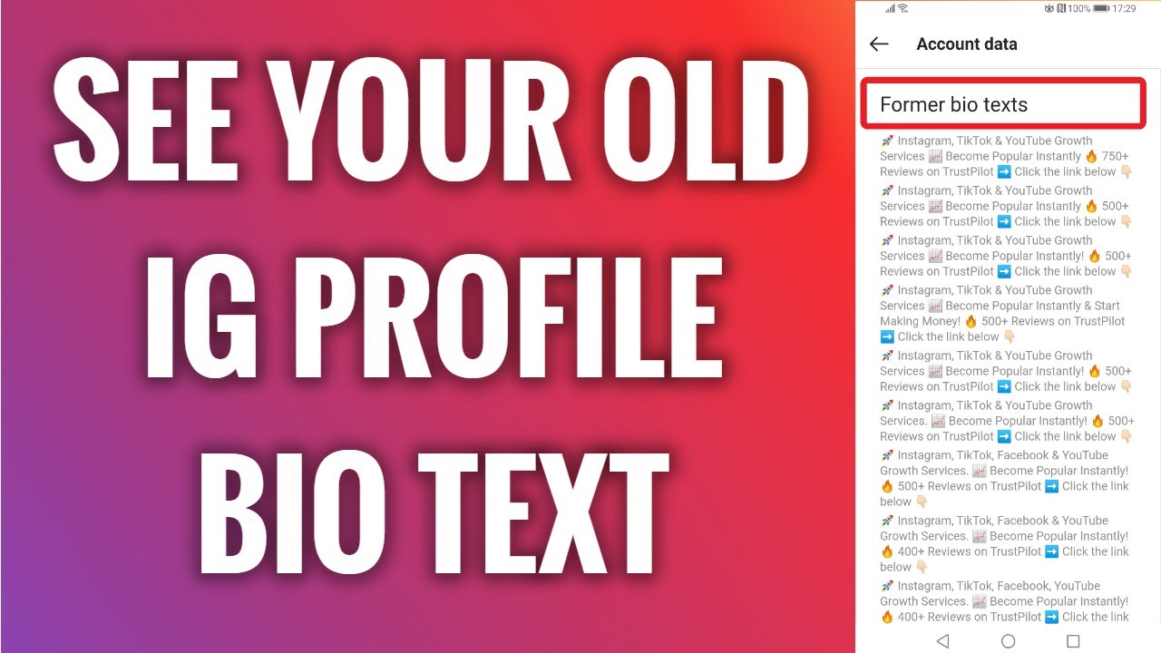 Come Vedere Le Vecchie Bio Di Instagram