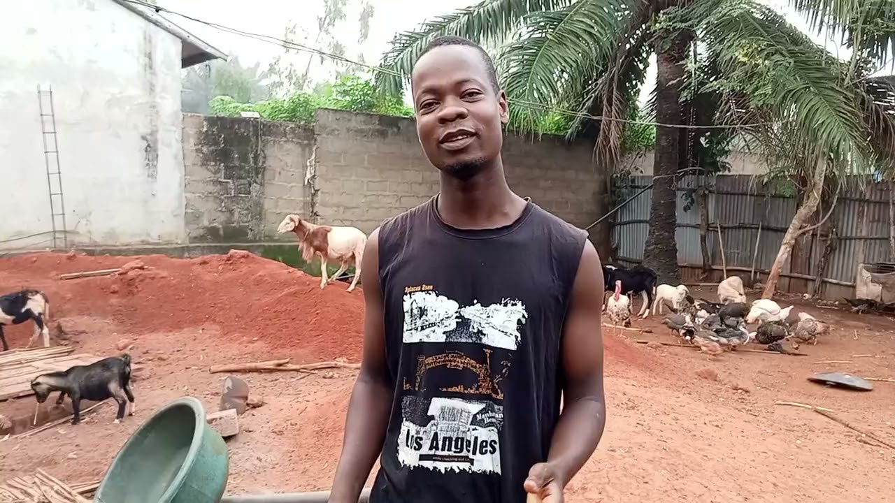 Élevage au Bénin : Mevognon Lazarre, un exemple de réussite locale