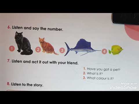 دروس اللغة الإنجليزية السنة الثالثة ابتدائي صفحة 47