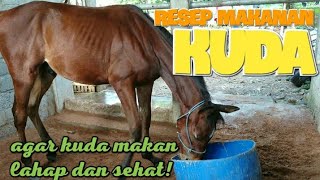 Resep Makanan Kuda | Kandang Kudaku Channel Info Seputar Kuda Indonesia
