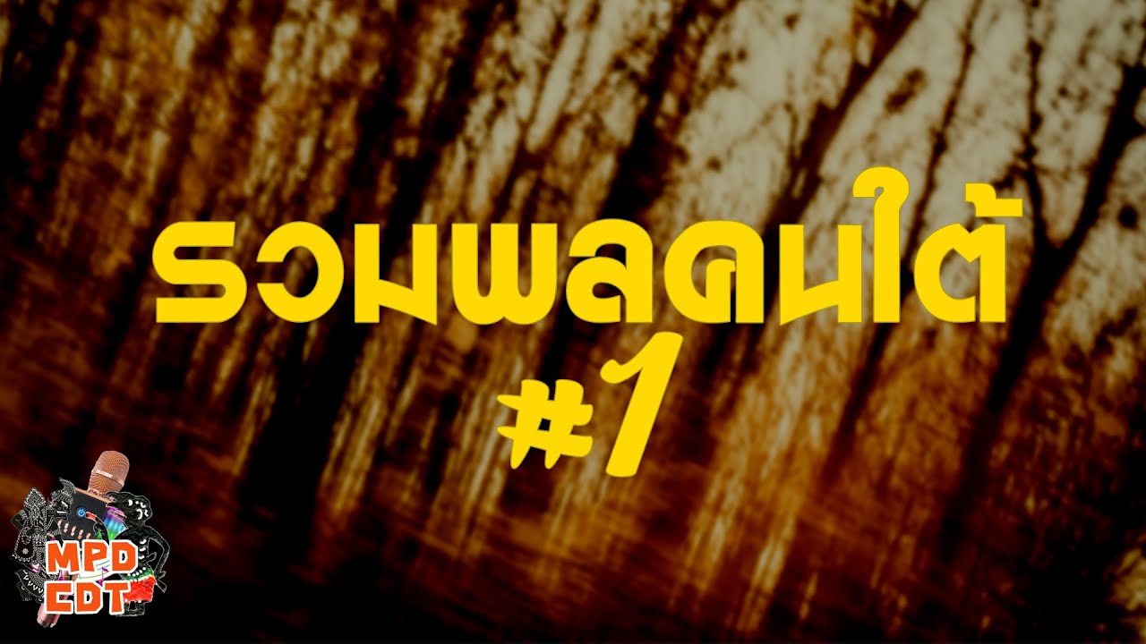 รวมพลคนใต้ ชุดที่ 1 [รวมศิลปิน หนุ่ยชัยยะวัฒน์, ทักษิณา, มนูญ]