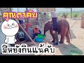 🐘🍼ถึงเวลาก็ต้องไปเรียนแต่ก่อนเข้าชั้นไปดูว่ามิ่งทำไร