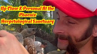 Up Close & Personal at the Phoenix Herpetological Sanctuary