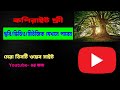 Copyright Free Images &amp; Video For Youtube | তিনটি বেষ্ট ওয়েব সাইট। No Copyright Claim |