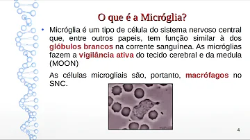 Como são chamadas as células do sistema nervoso?