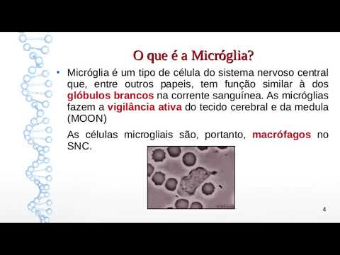 Vídeo: Fenótipos Imunes Da Microglia Em Doenças Neurodegenerativas Humanas: Desafios Para Detectar A Polarização Microglial Em Cérebros Humanos